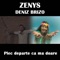 Plec Departe Ca Ma Doare (feat. Deniz Brizo) - Zenys lyrics