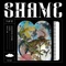 Shame artwork