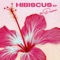 Gigi's Interlude (feat. Dauven Ducusin) - Pana lyrics
