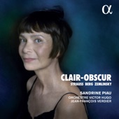 Clair-Obscur artwork