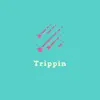 Trippin - Single album lyrics, reviews, download