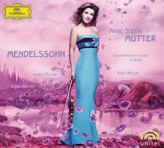 Piano Trio No. 1 in D Minor, Op. 49: II. Andante con Moto Tranquillo by Anne-Sophie Mutter, Lynn Harrell & André Previn song reviws