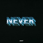 Never (Extended Mix) artwork