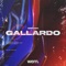 Gallardo - GRHHH & Wern Records lyrics