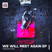 We Will Meet Again artwork