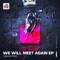 We Will Meet Again artwork