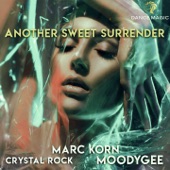 Another Sweet Surrender (Radio Edit) artwork
