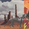 Maddison Carter Quintet - Fort Nest IV