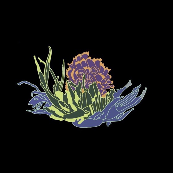 Cover artwork for Summer's Almost Over