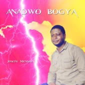 Anadwo Bogya artwork