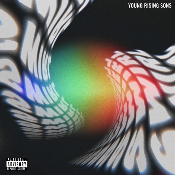 Cover artwork for Skeletons