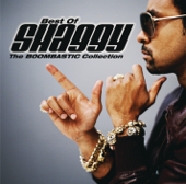 Angel (feat. Rayvon) - Shaggy Cover Art