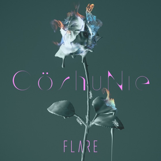 Cover artwork for FLARE