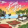 Stream & download Beach Boy (feat. Paul Couture)