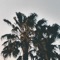 Copy and Paste - Max Kuehn lyrics