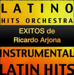 Éxitos de Ricardo Arjona (Instrumental) by Latino Hits Orchestra album reviews, ratings, credits
