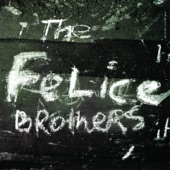 The Felice Brothers - Whiskey in My Whiskey