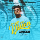 Ginger by Visiion