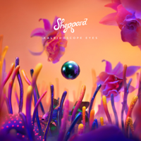 Sheppard - Kaleidoscope Eyes artwork