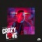 Crazy Love (feat. Camila Recchio) - J-Wright & Mike Squires lyrics