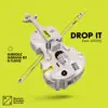 Drop It (feat. LUISAH) song lyrics