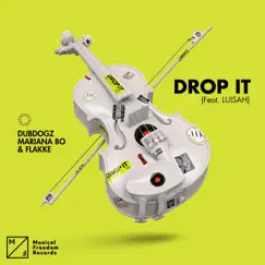 Drop It (feat. LUISAH) Song Lyrics