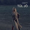 Túl jó - Single