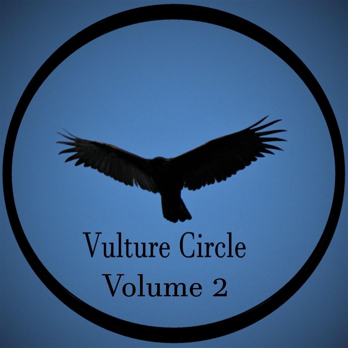 Circle альбом. Логотип альбома Vultures. Vultures Gathering группа обложка альбома. Vultures album Cover vol1.