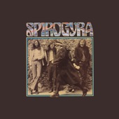 At Home In the World by Spirogyra