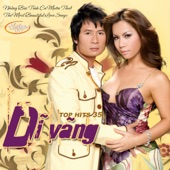 Top Hits 35 - Dĩ Vãng artwork