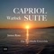 Capriol Suite (Version for Strings): VI. Mattachins (Sword Dance) artwork