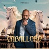 Caballero - Single