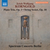 Korngold: Piano Trio, Op. 1 & String Sextet, Op. 10 artwork