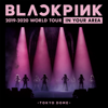 BLACKPINK - Stay (Remix / Japan Version / BLACKPINK 2019-2020 WORLD TOUR IN YOUR AREA - TOKYO DOME) artwork