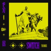 Switch (Fox'd Remix) artwork