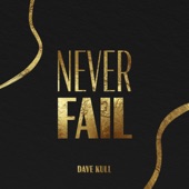 Never Fail artwork