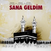 Sana Geldim artwork