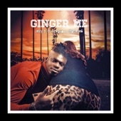 Ginger Me (feat. Charlie6 & Vicegrip) artwork