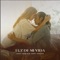 Luz de mi vida - Dany Deglein & Adry Vargas lyrics