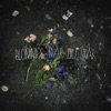 Blommor där du står - Single