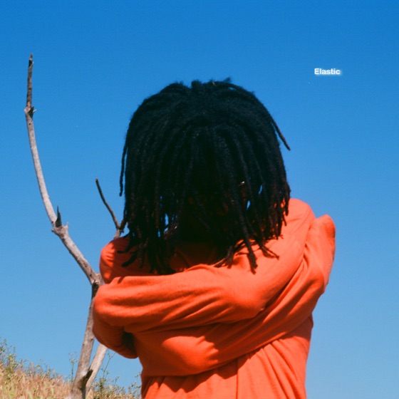 Cover artwork for Elastic