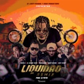 Liquidao (feat. Ceky Viciny, Musicologo, El Cherry Scom & Crazy Design) [Remix] artwork