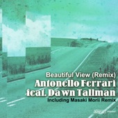 Beautiful View (feat. Dawn Tallman) [Antonello Ferrari Main Mix] artwork