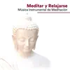 Meditar y Relajarse - Música Instrumental de Meditación con los Sonidos de la Naturaleza album lyrics, reviews, download