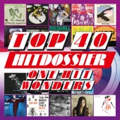 TOP 40 HITDOSSIER - One Hit Wonders artwork