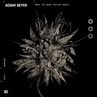 last ned album Adam Beyer - What You Need Kölsch Remix