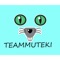 We are TEAM MUTEKI - TEAM MUTEKI lyrics