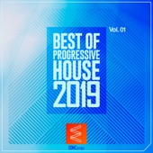 Best of Progressive House 2019, Vol. 01 artwork