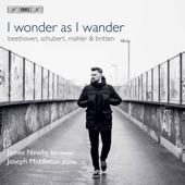 I Wonder as I Wander artwork