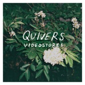 Quivers - Videostores